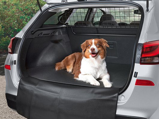 Аксесуари для автомобілів Hyundai у м. Львів | Арія Моторс - фото 10