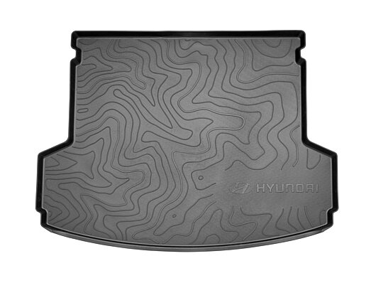 Аксесуари для автомобілів Hyundai у м. Львів | Арія Моторс - фото 16