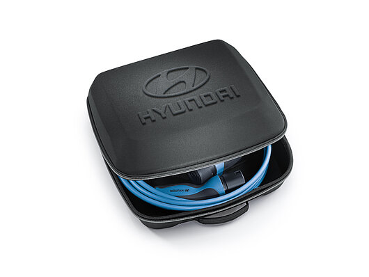 Аксесуари для автомобілів Hyundai у м. Львів | Арія Моторс - фото 22